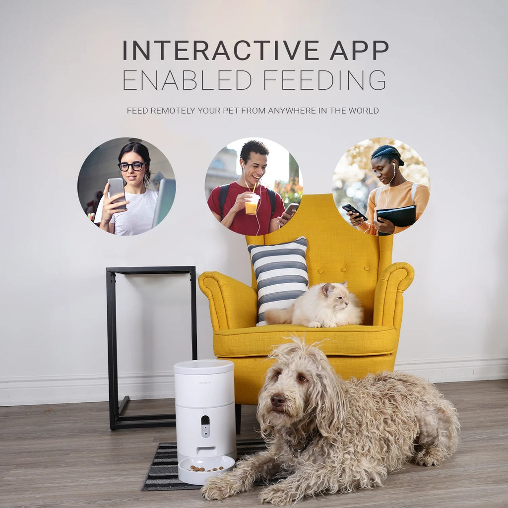 Purechew Automatic Pet Feeder with HD Camera, Smart Food Dispenser for Cats and Dogs, Portion Control, Programmable Treat Dispenser with Video Recording