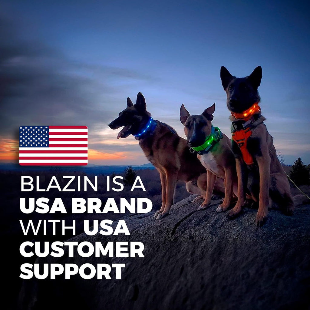 Light up Dog Leash LED - 1,000 Feet of Visibility - USB Rechargeable Waterproof Glow in the Dark Dog Leash - 4 Foot, Black