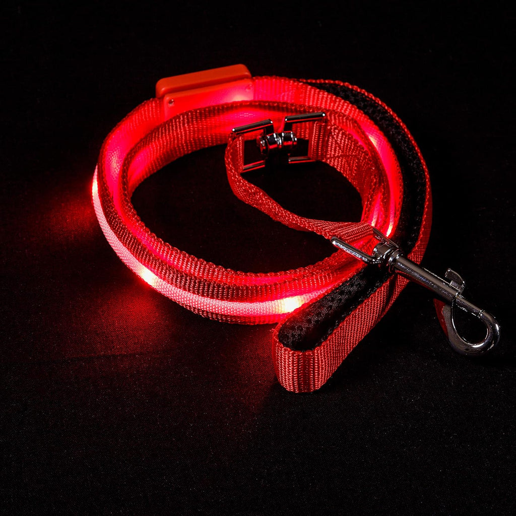 Light up Dog Leash LED Dog Leash - 1,000 Feet of Visibility - USB Rechargeable Waterproof Glow in the Dark - 4 Foot, Red