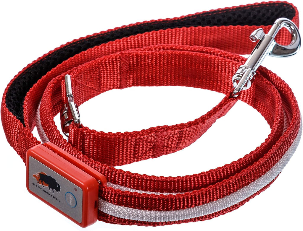 Light up Dog Leash LED Dog Leash - 1,000 Feet of Visibility - USB Rechargeable Waterproof Glow in the Dark - 4 Foot, Red