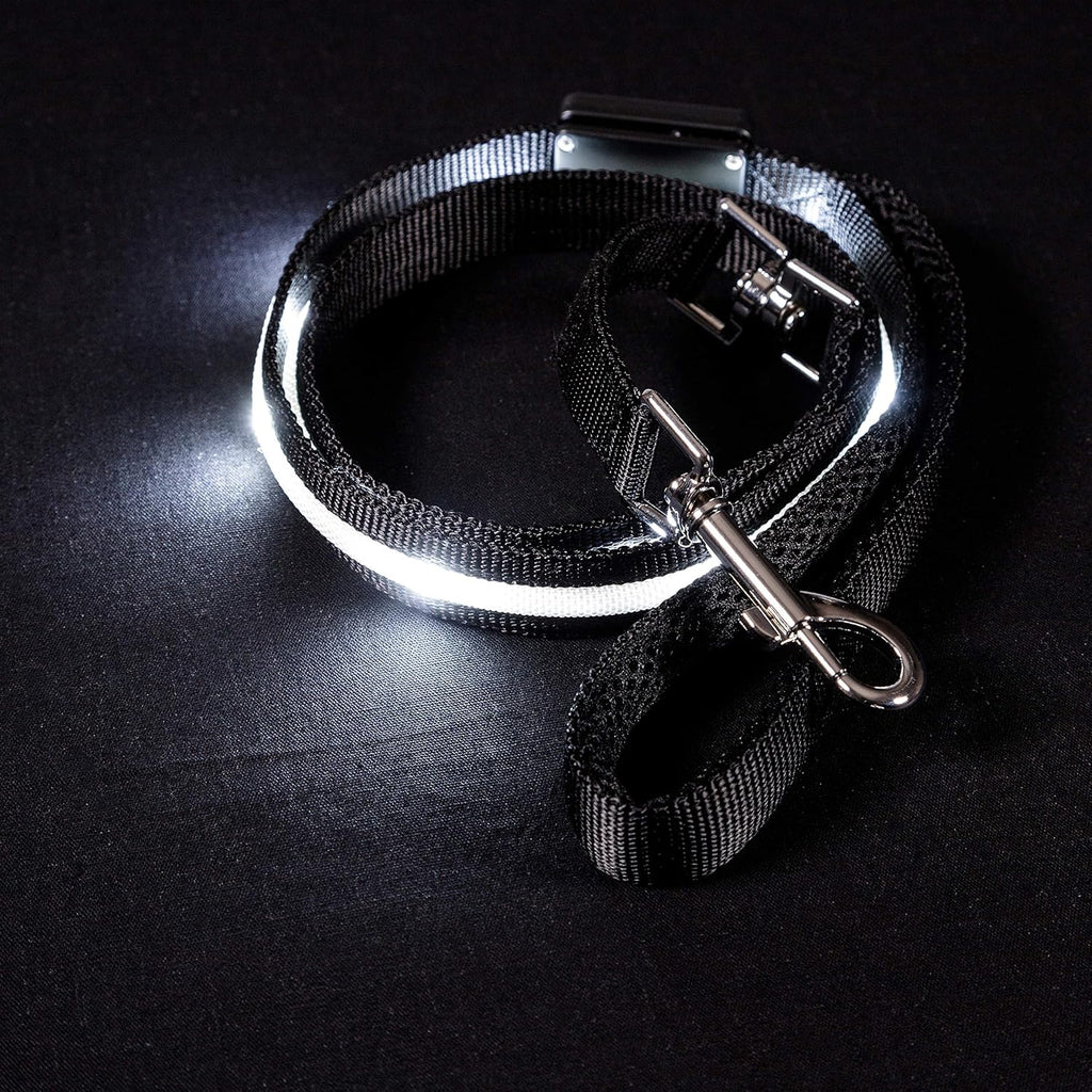 Light up Dog Leash LED - 1,000 Feet of Visibility - USB Rechargeable Waterproof Glow in the Dark Dog Leash - 4 Foot, Black