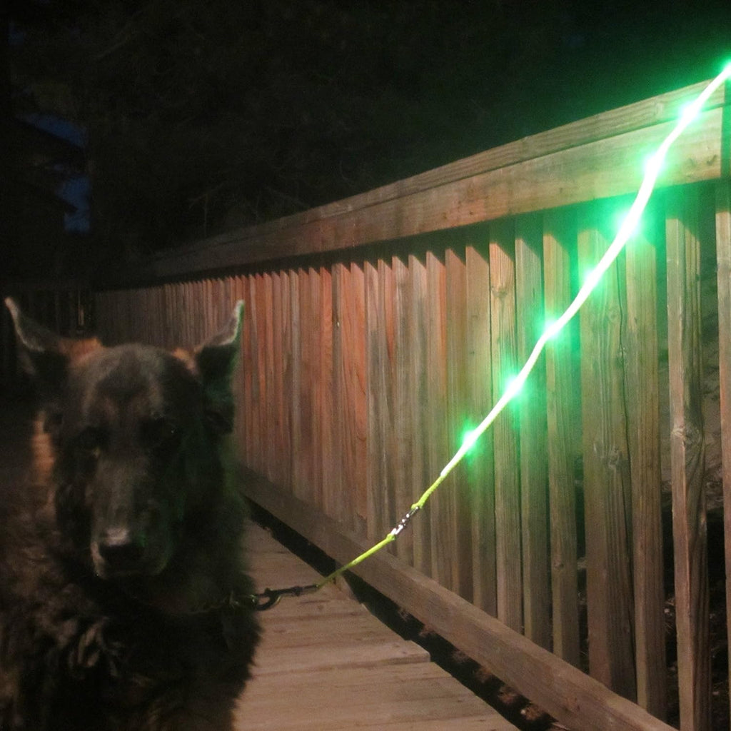 Light up Dog Leash LED - 1,000 Feet of Visibility - USB Rechargeable Waterproof Glow in the Dark Dog Leash - 4 Foot, Black